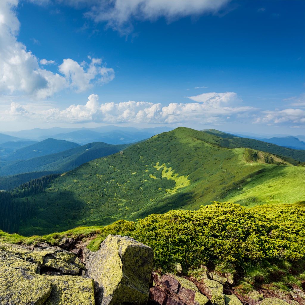 원주오피가 구축하는 지속 가능한 운영 시스템